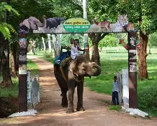 tourism places betla natioal park