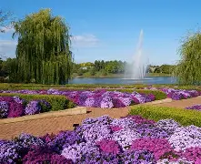 botanical garden