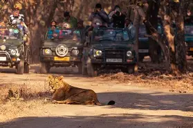 gir national