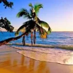 paradise beach